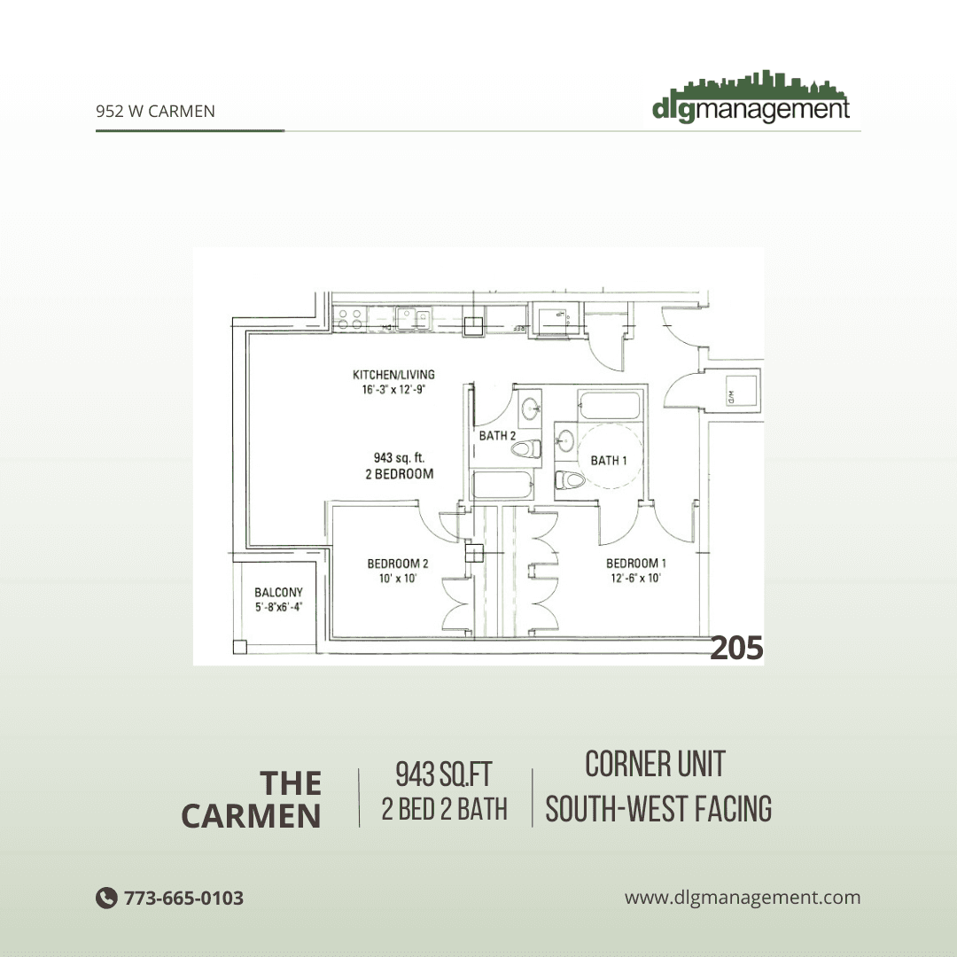 Chicago Apartment: 952 W. Carmen Ave.
