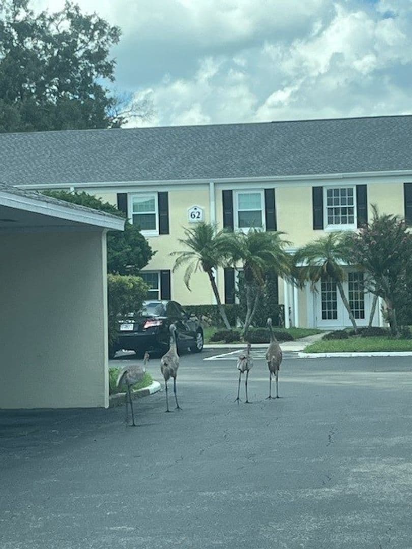 Tampa Apartment: 2539 Cedar Cypress Court