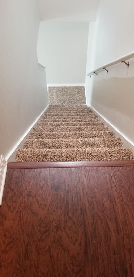 Brandon Apartment: 442 Belle Montclair Loop