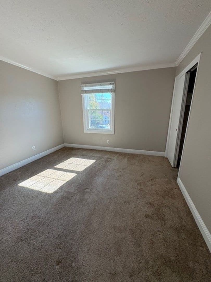 Tampa Apartment: 2539 Cedar Cypress Court