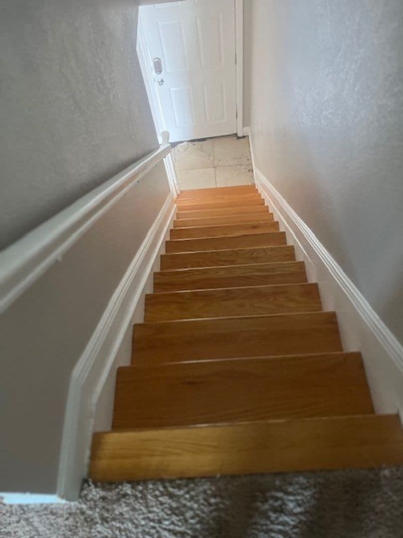 Tampa Apartment: 2539 Cedar Cypress Court