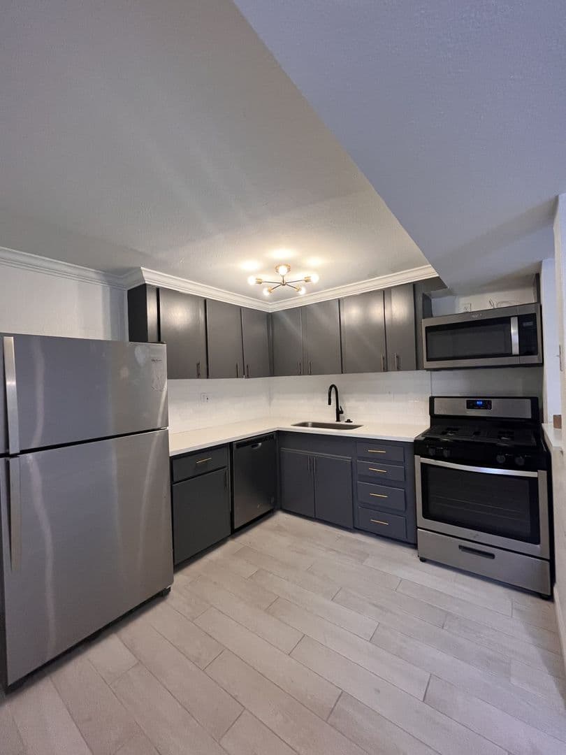 Houston Apartment: 239 Emerson St.