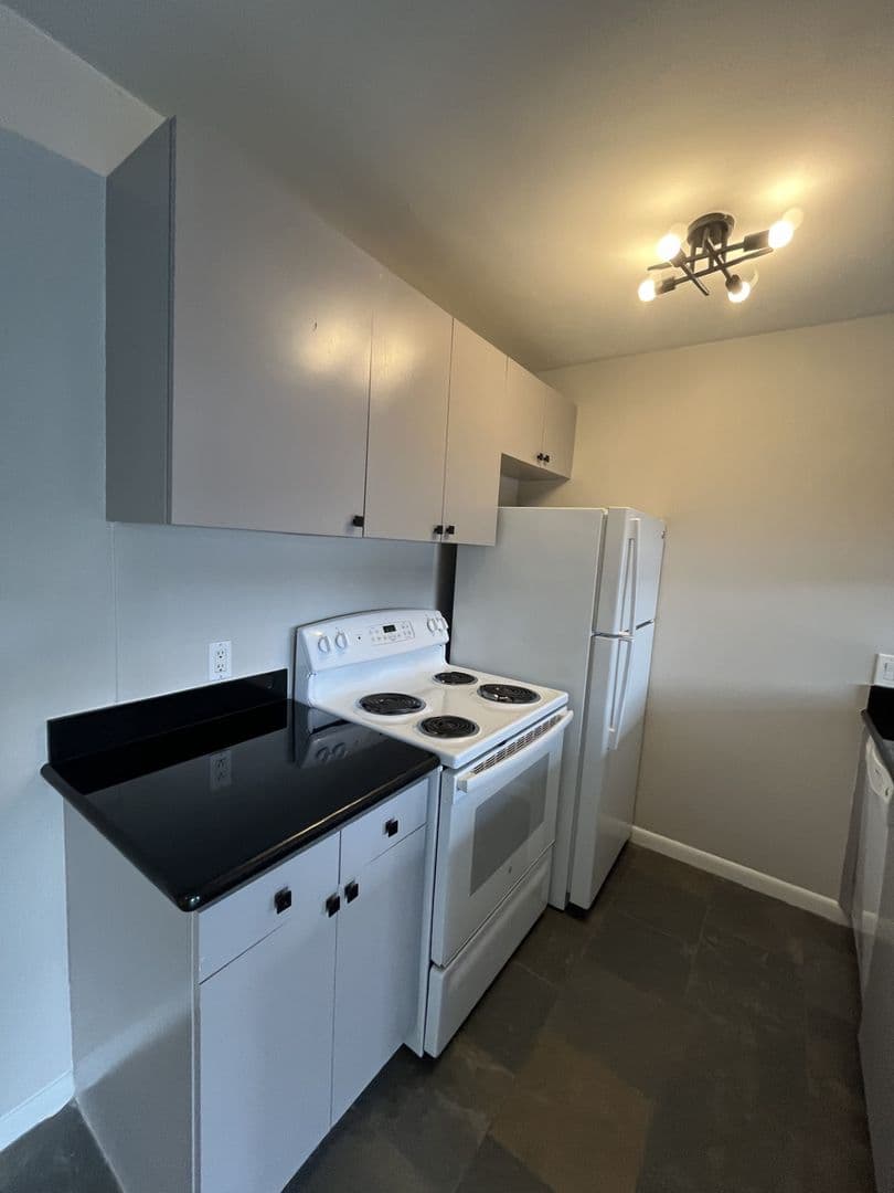 Houston Apartment: 306 Stratford St.
