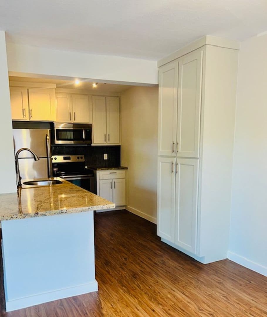 Houston Apartment: 2008 Colquitt St.