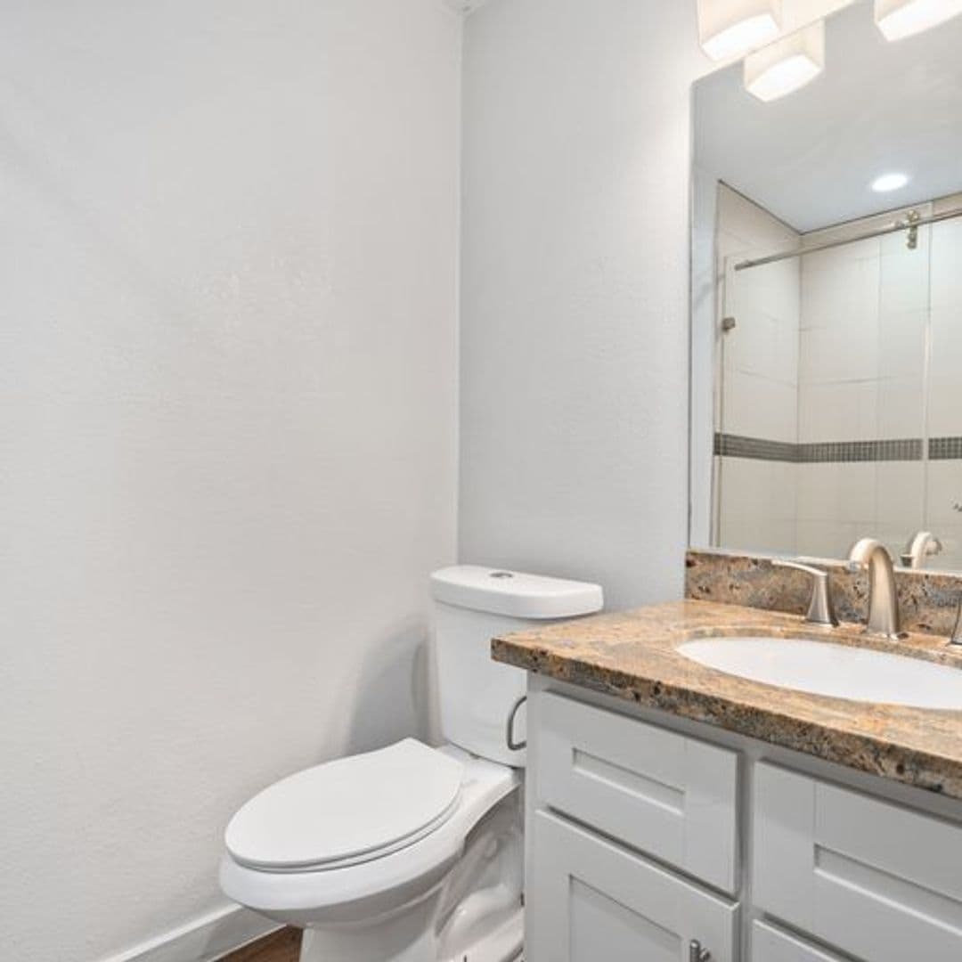 Houston Apartment: 2008 Colquitt St.
