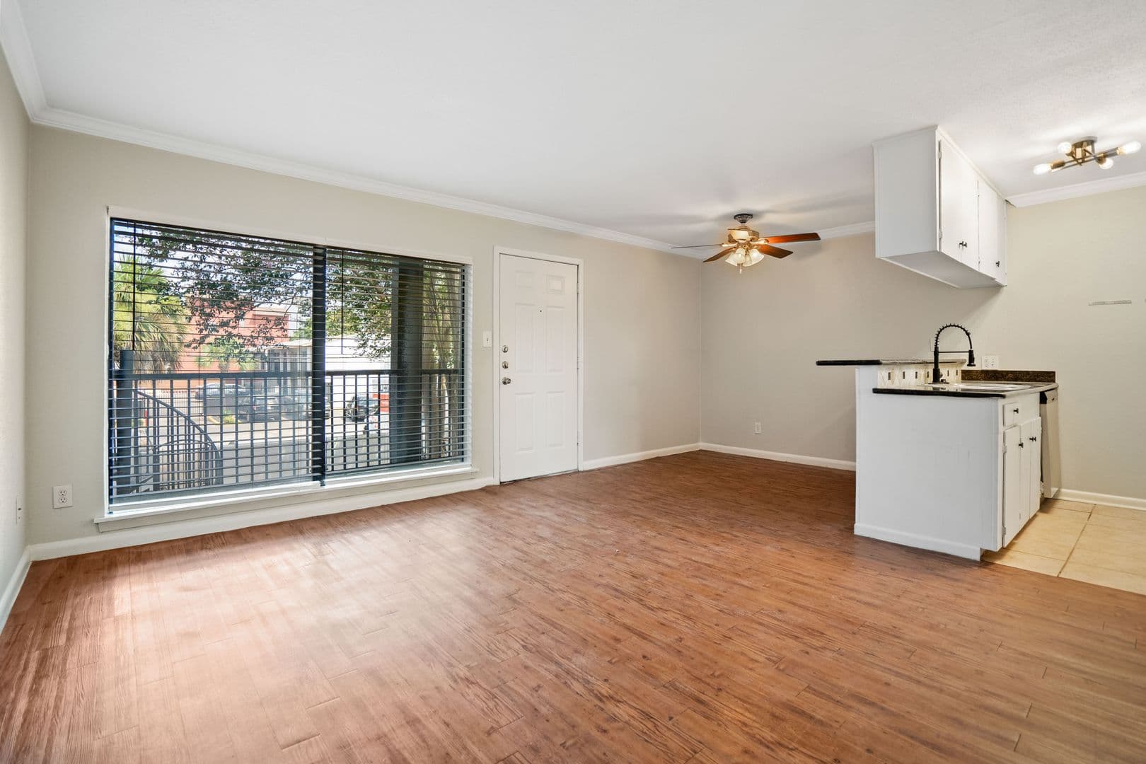 Houston Apartment: 1507 California St.