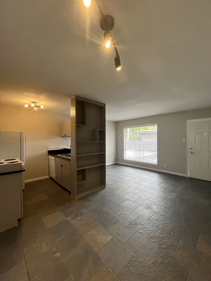 Houston Apartment: 306 Stratford St.