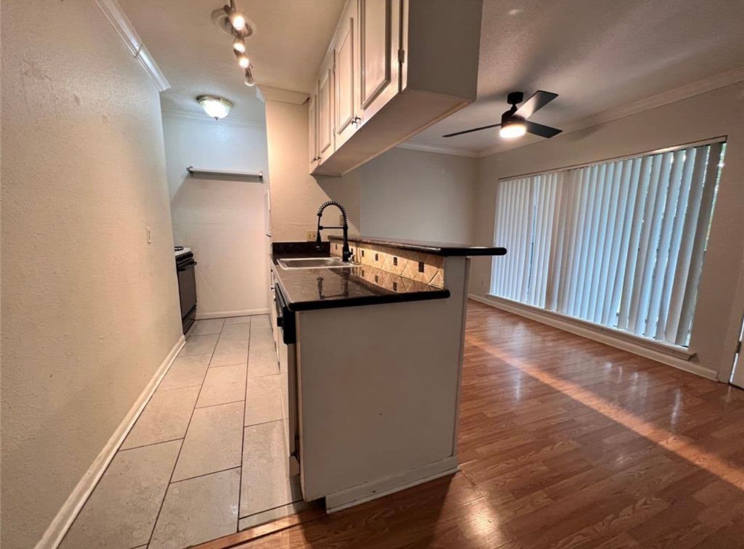 Houston Apartment: 1507 California St.