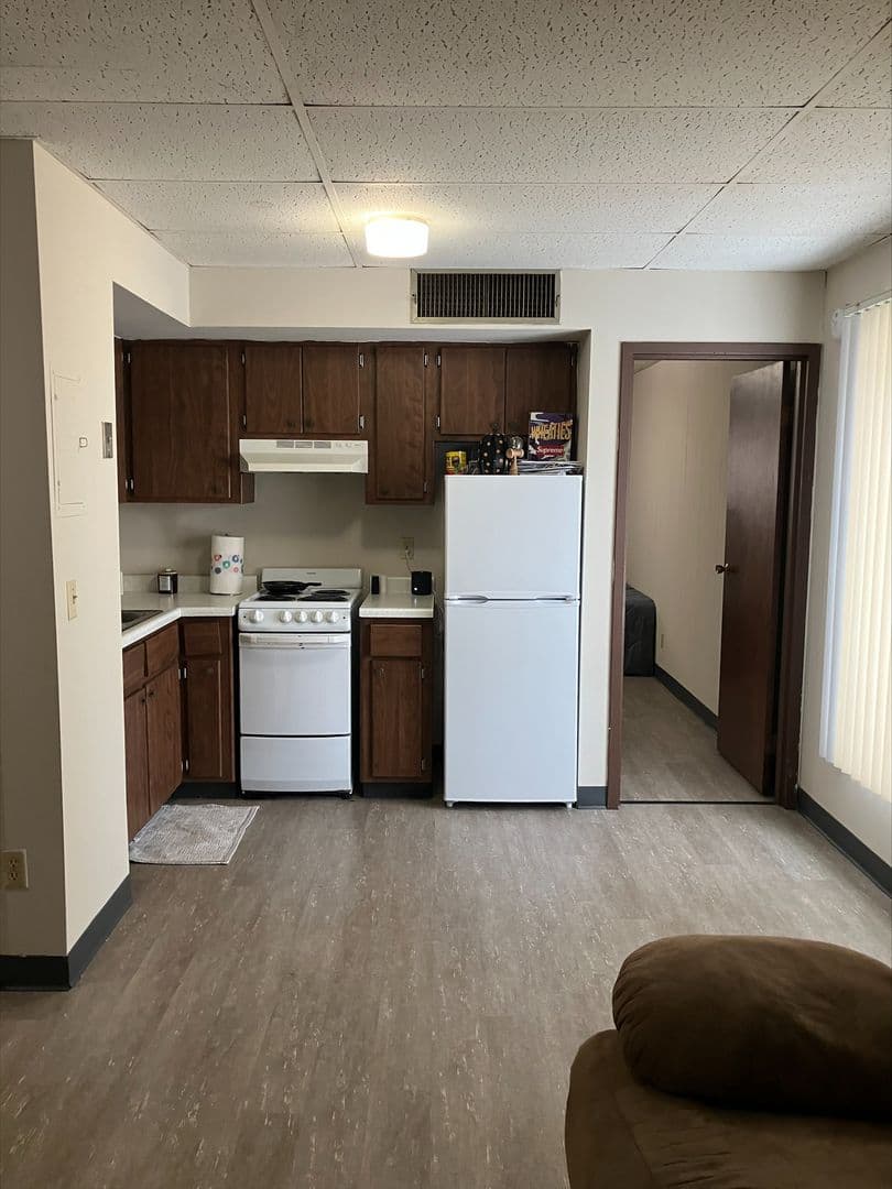 Rochester Apartment: 620 2nd St. SW