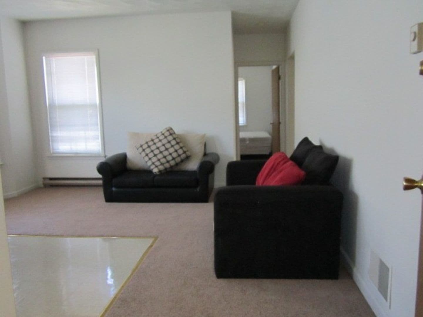Syracuse Apartment: 205 Comstock Avenue