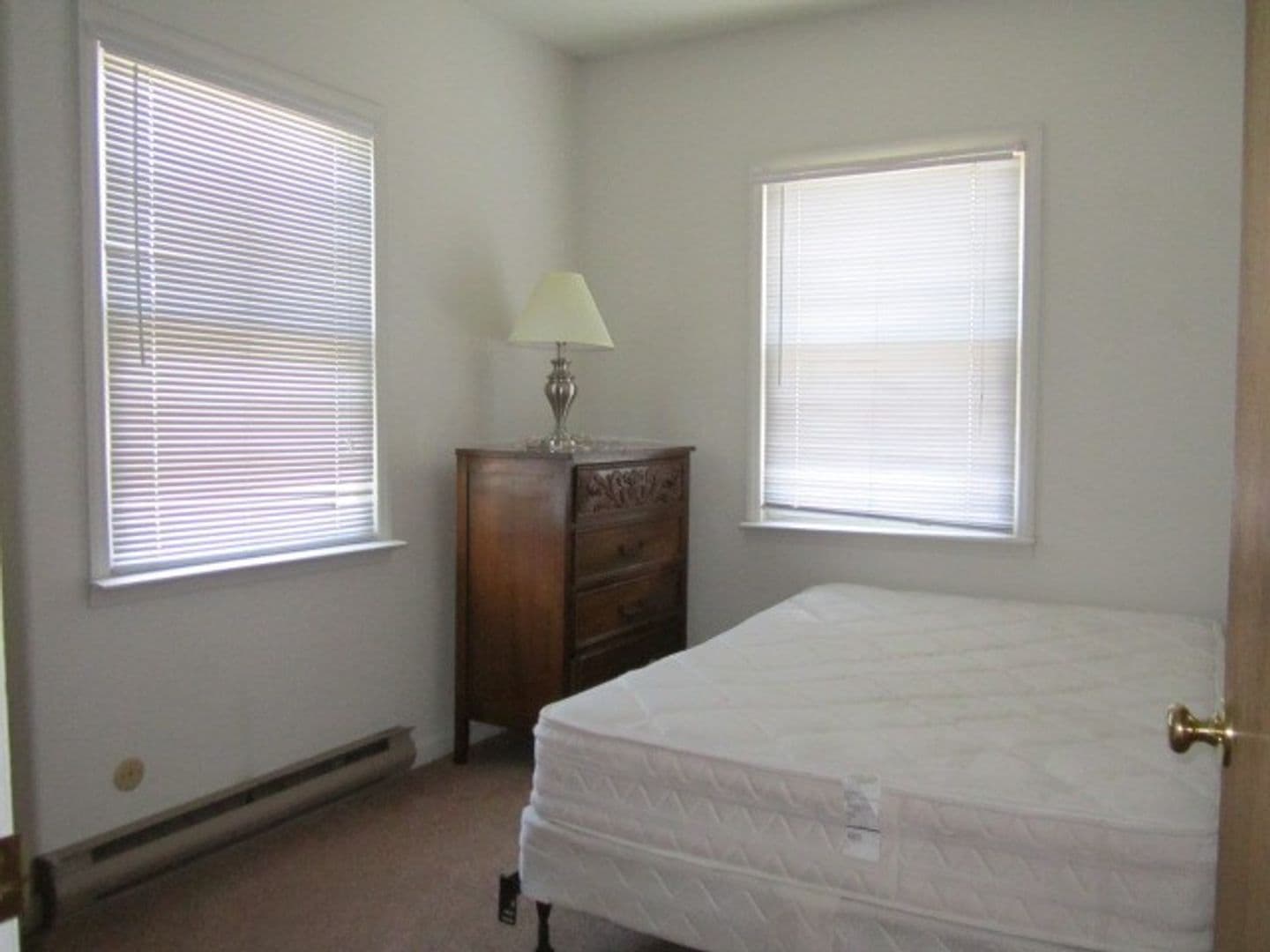 Syracuse Apartment: 205 Comstock Avenue