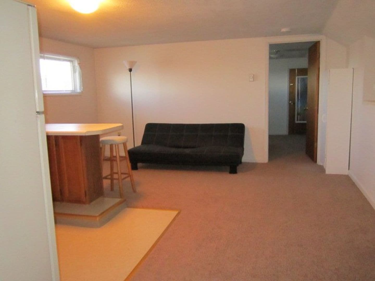 Syracuse Apartment: 205 Comstock Avenue