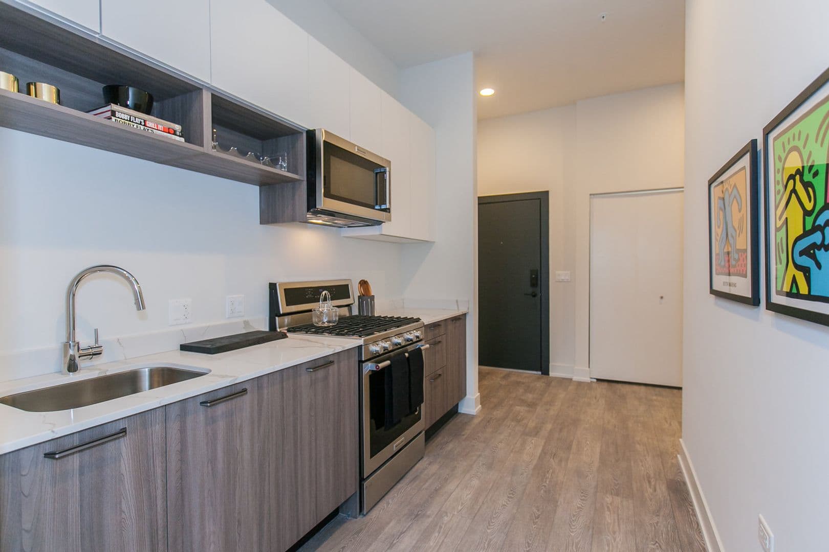Chicago Apartment: 853 N. Larrabee