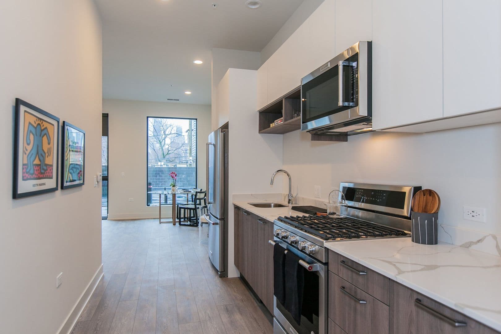 Chicago Apartment: 853 N. Larrabee
