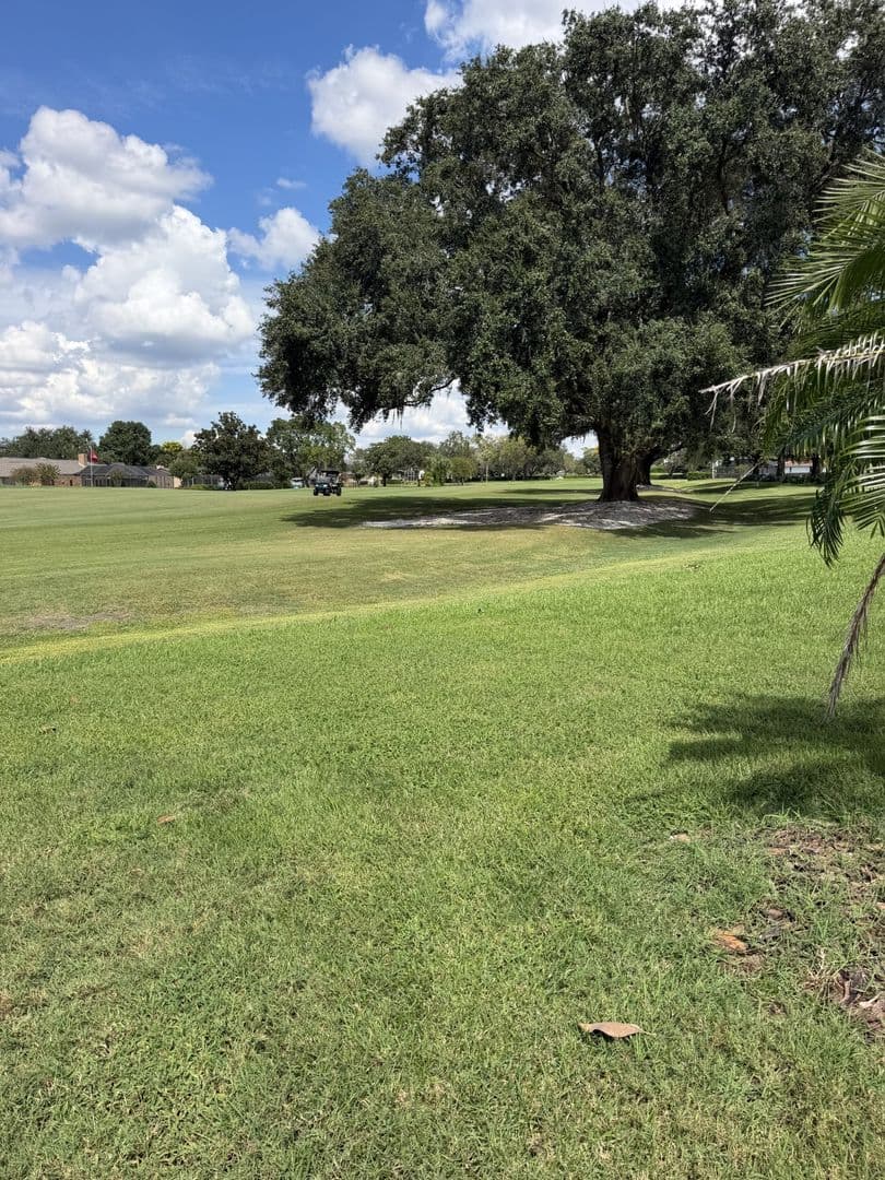 Orlando House: 6204 Donegal Dr.