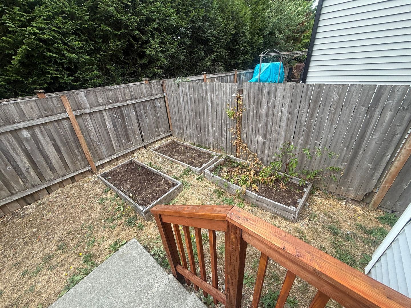 Graham House: 19506 104th Ave E
