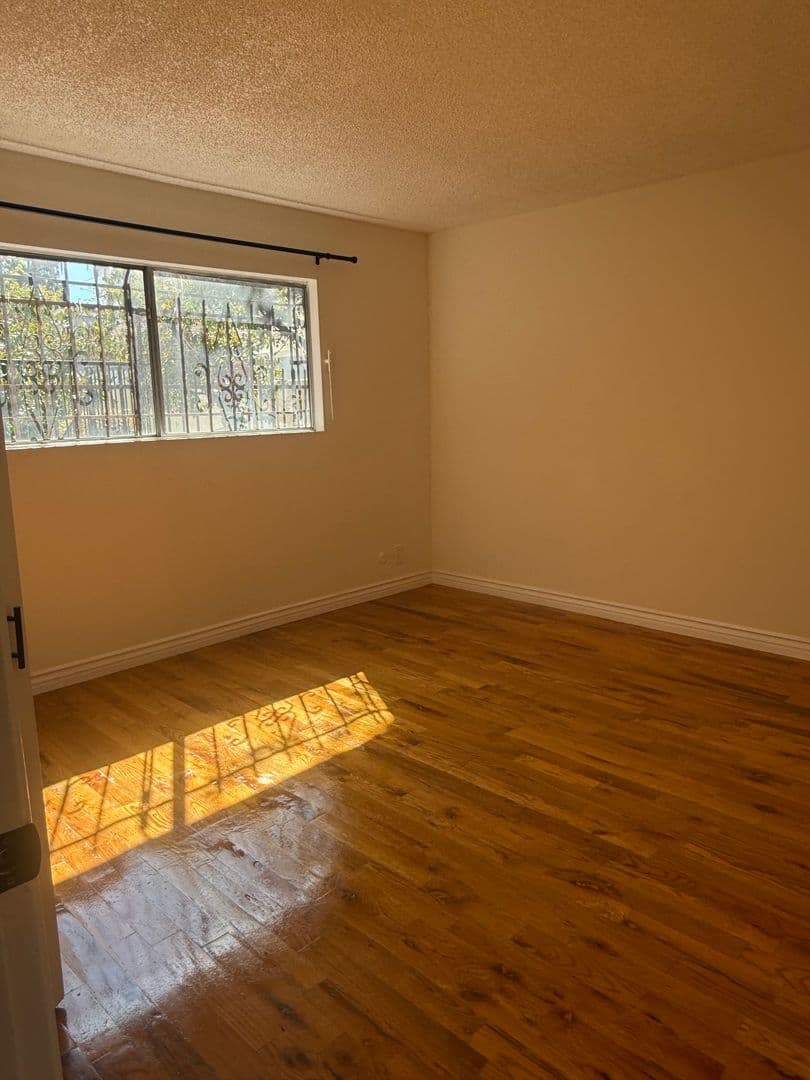 Los Angeles Apartment: 439 S Hobart Blvd