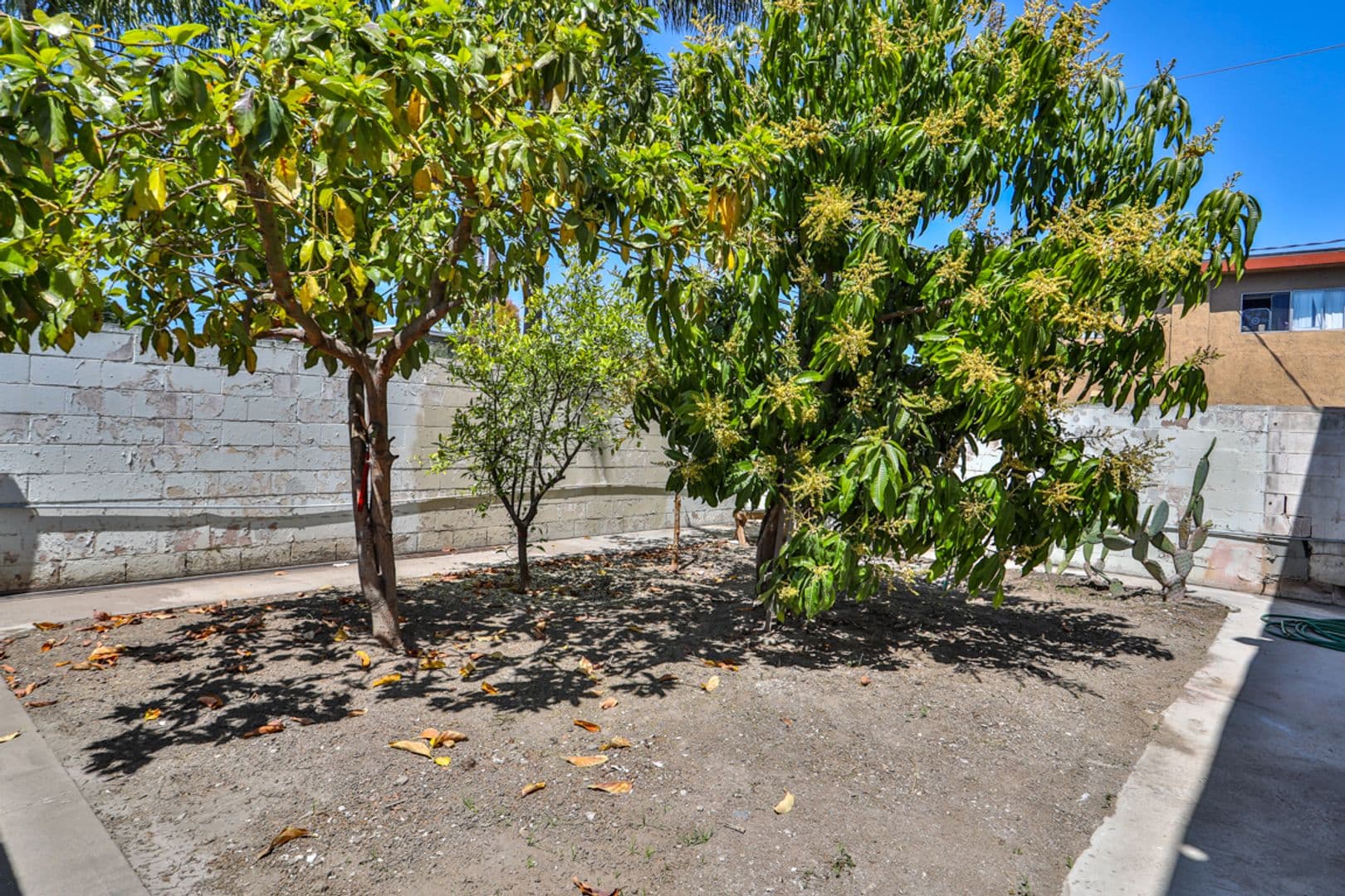 Bellflower Apartment: 16230 Cornuta Avenue
