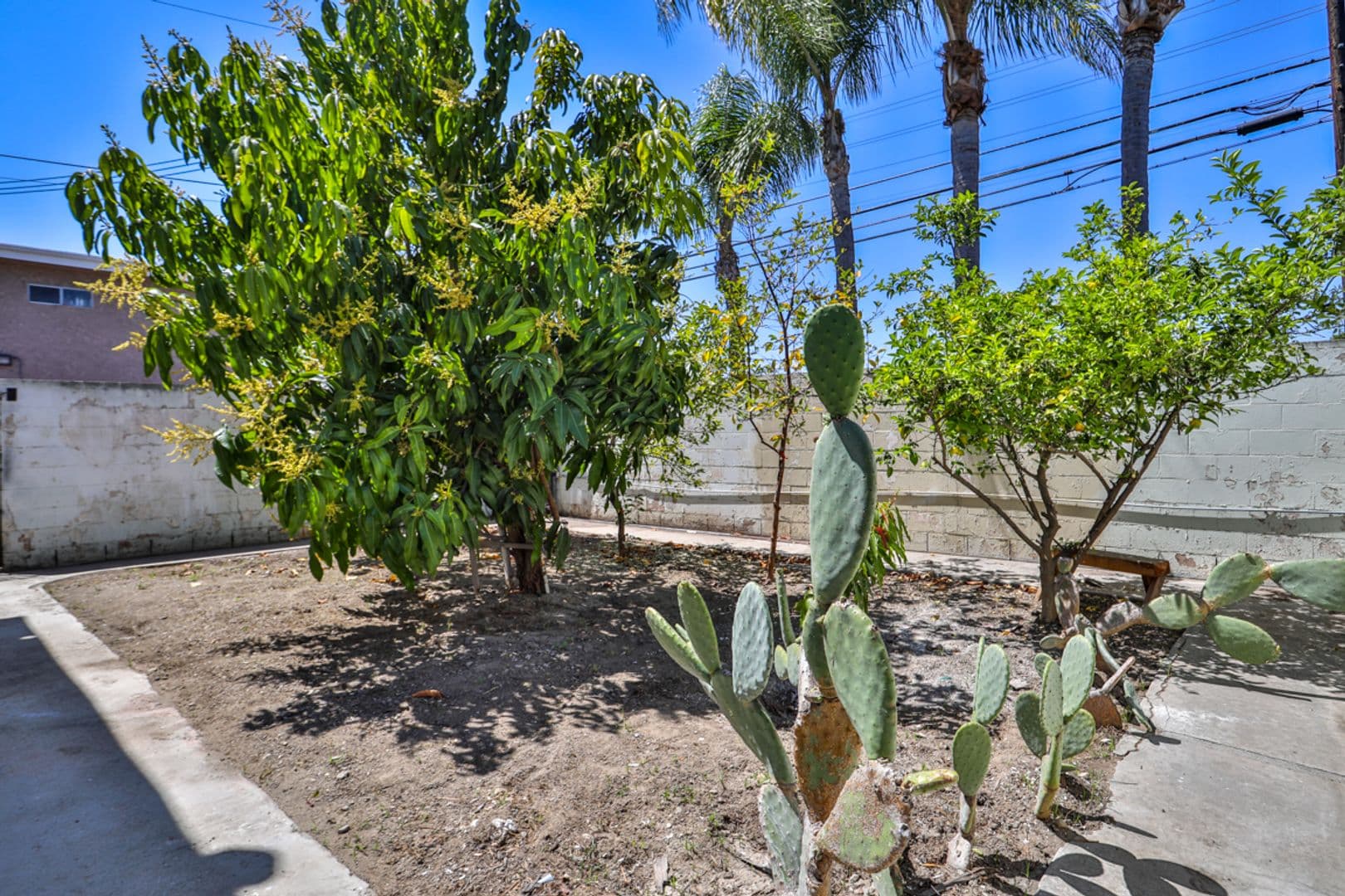 Bellflower Apartment: 16230 Cornuta Avenue