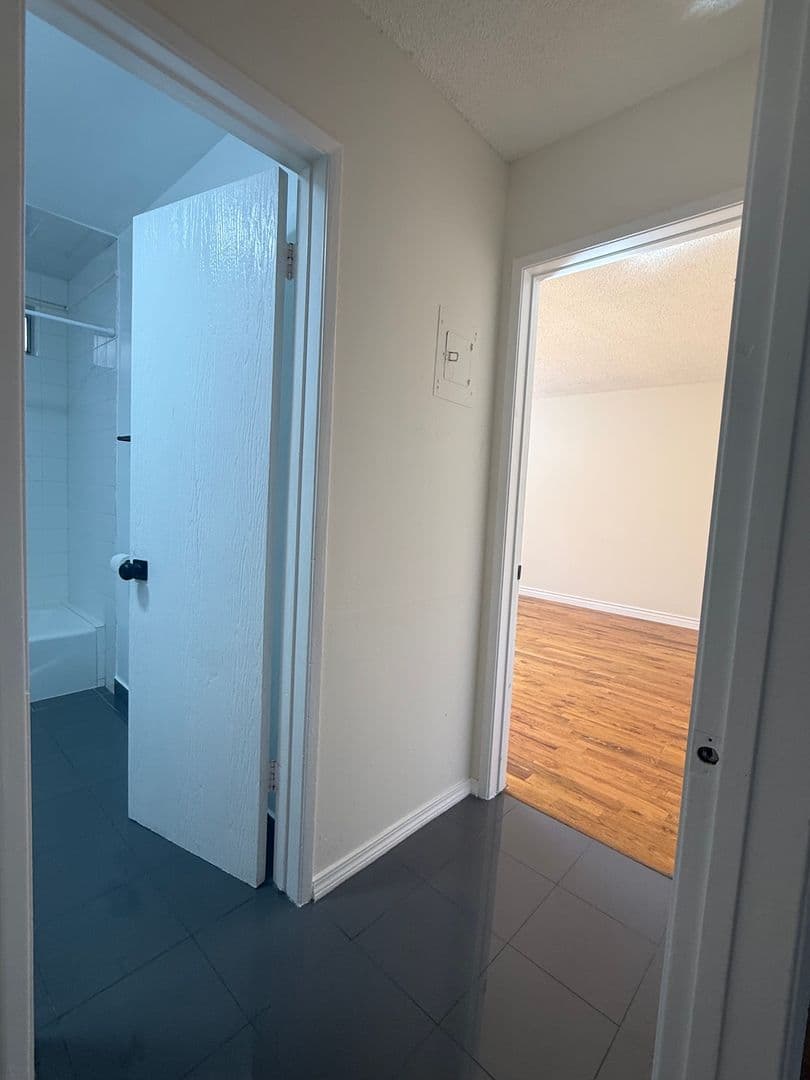 Los Angeles Apartment: 439 S Hobart Blvd