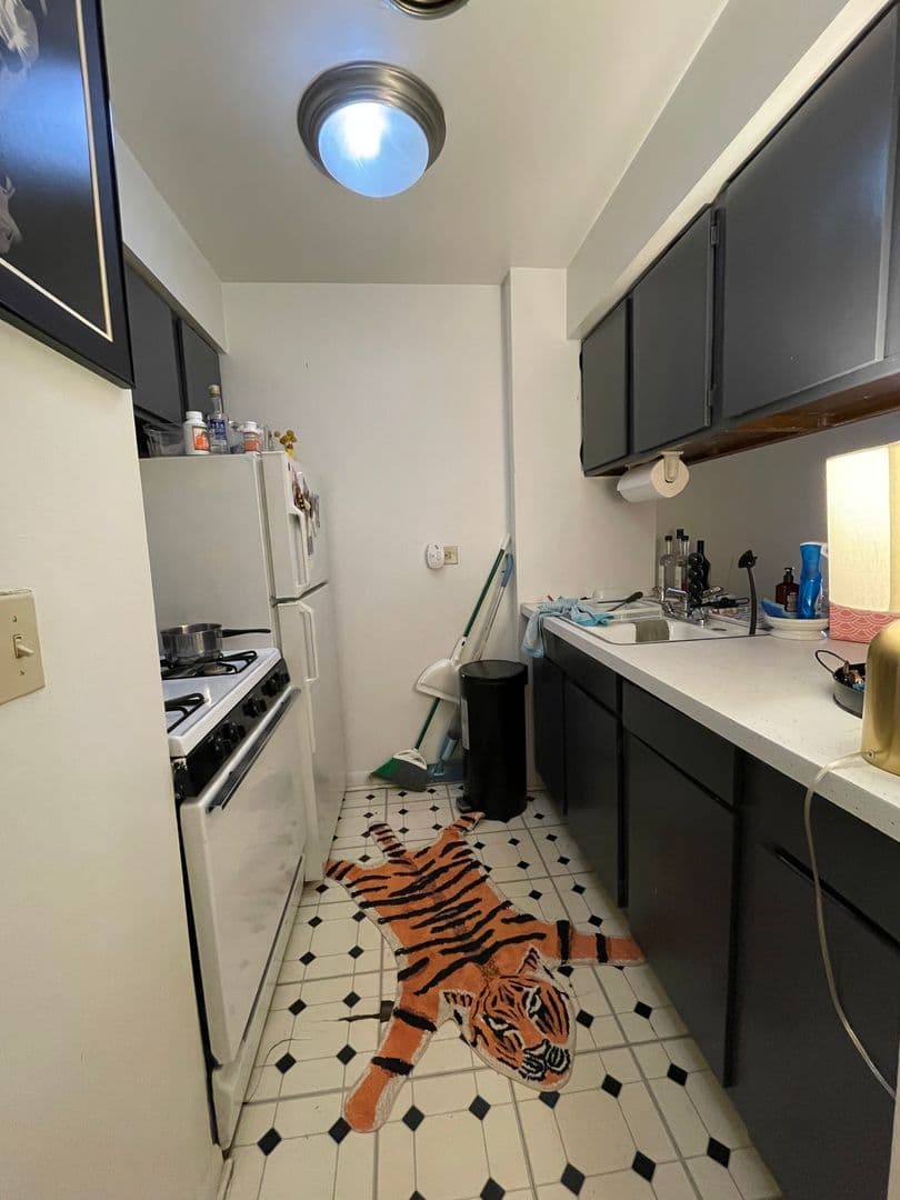 Chicago Apartment: 521 W Briar