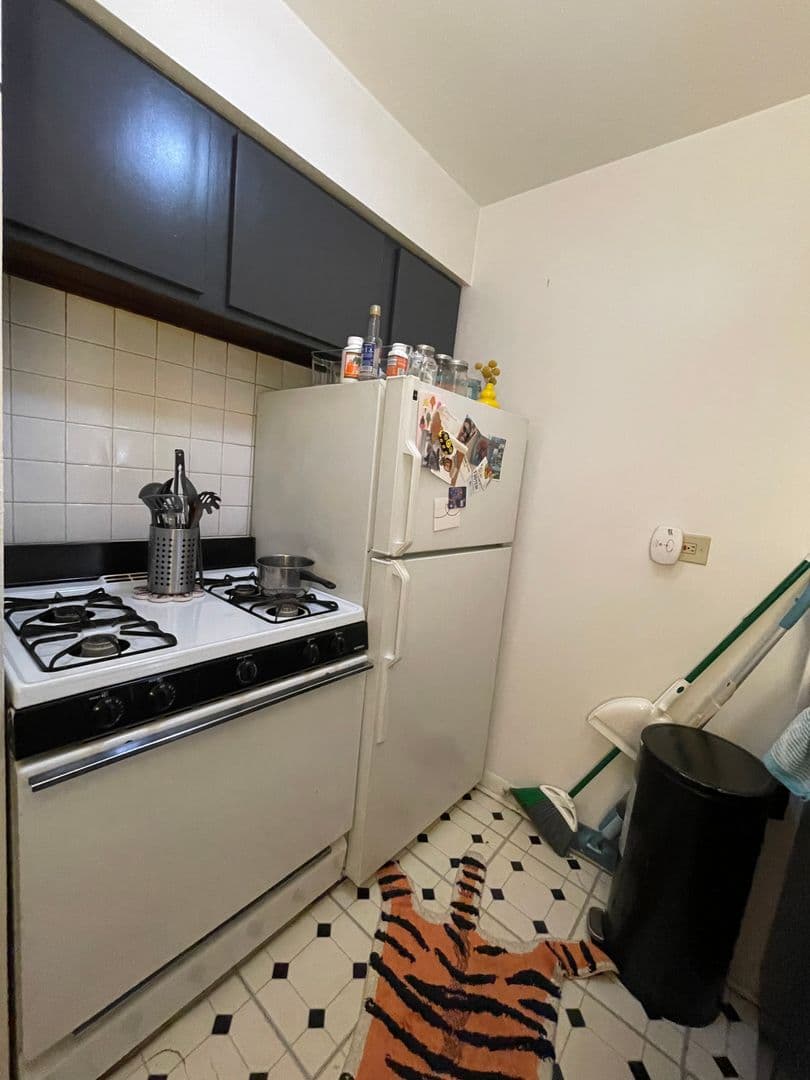 Chicago Apartment: 521 W Briar