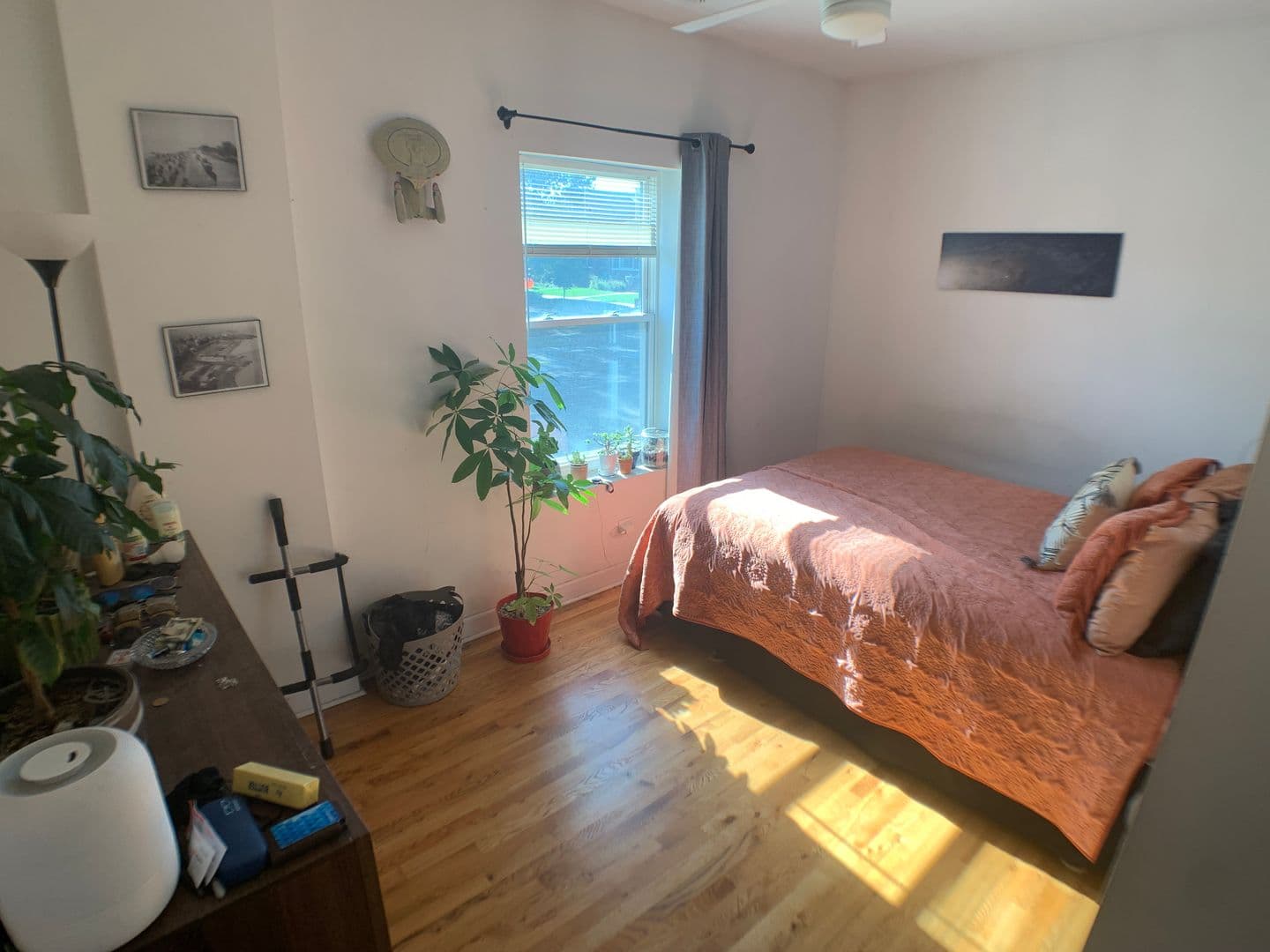 Chicago Apartment: 3450 W Waveland Ave