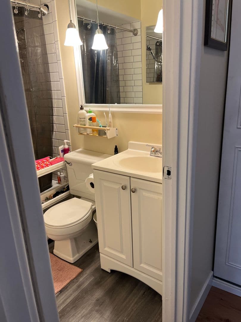 Chicago Apartment: 541 W Briar Pl