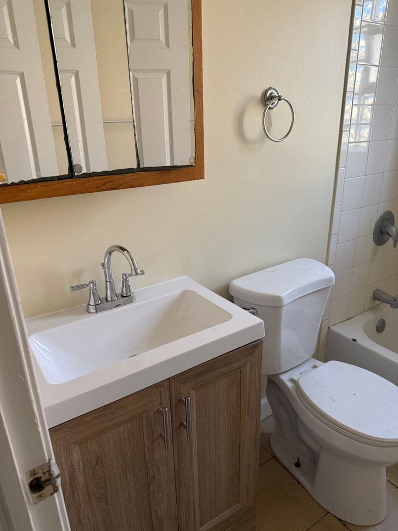 Chicago Apartment: 1319 S Christiana