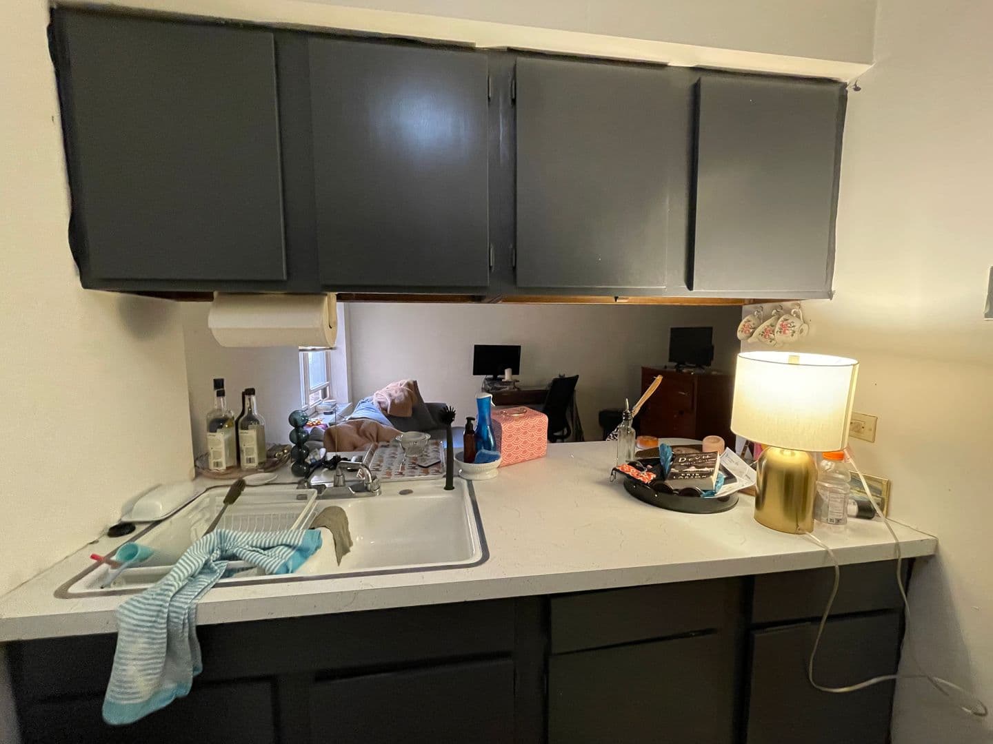 Chicago Apartment: 521 W Briar