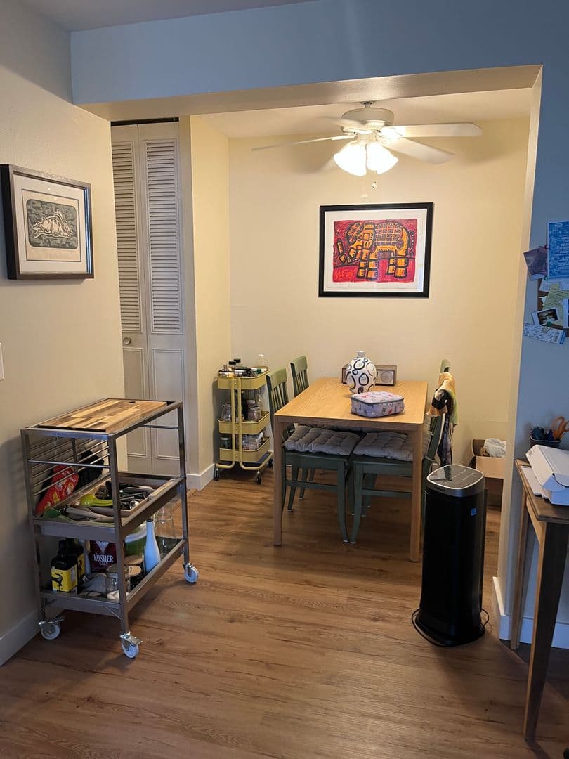 Chicago Apartment: 541 W Briar Pl