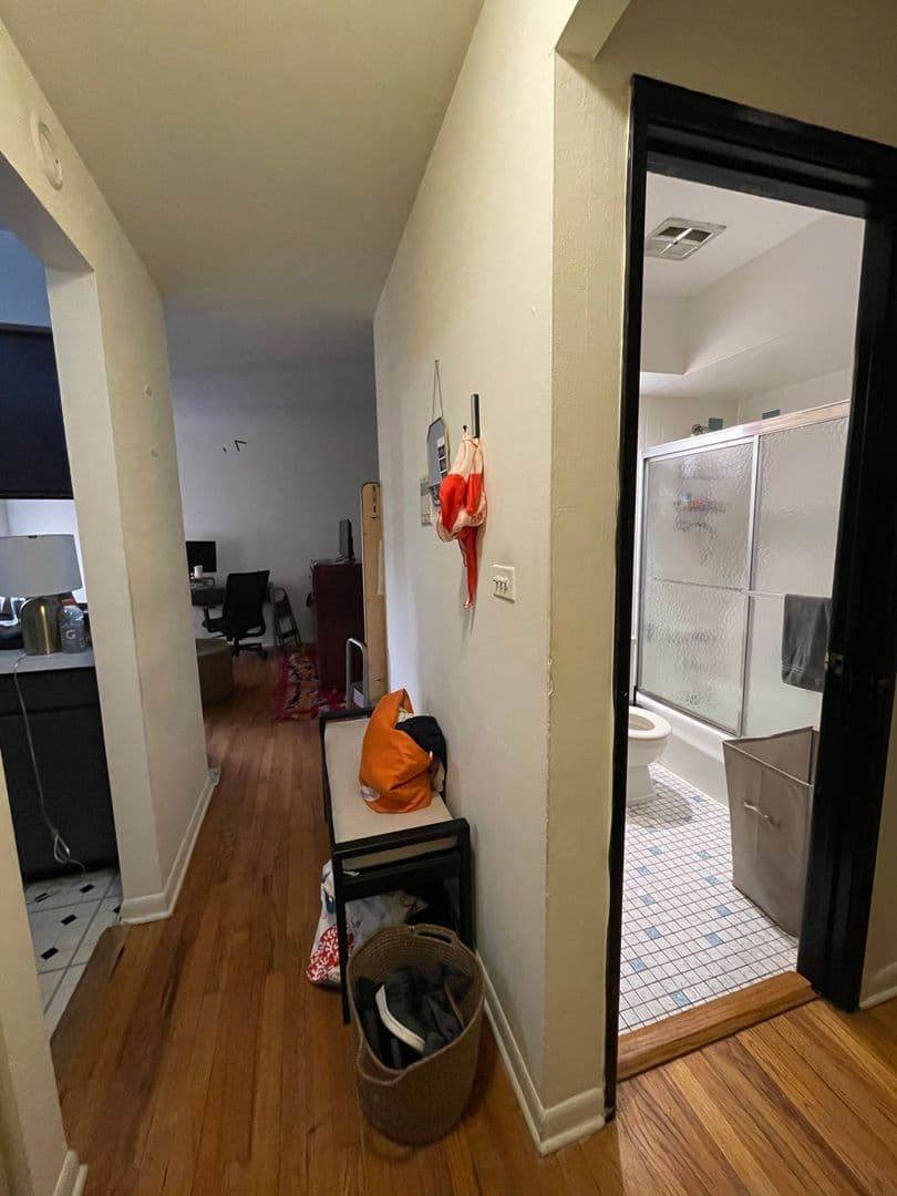Chicago Apartment: 521 W Briar