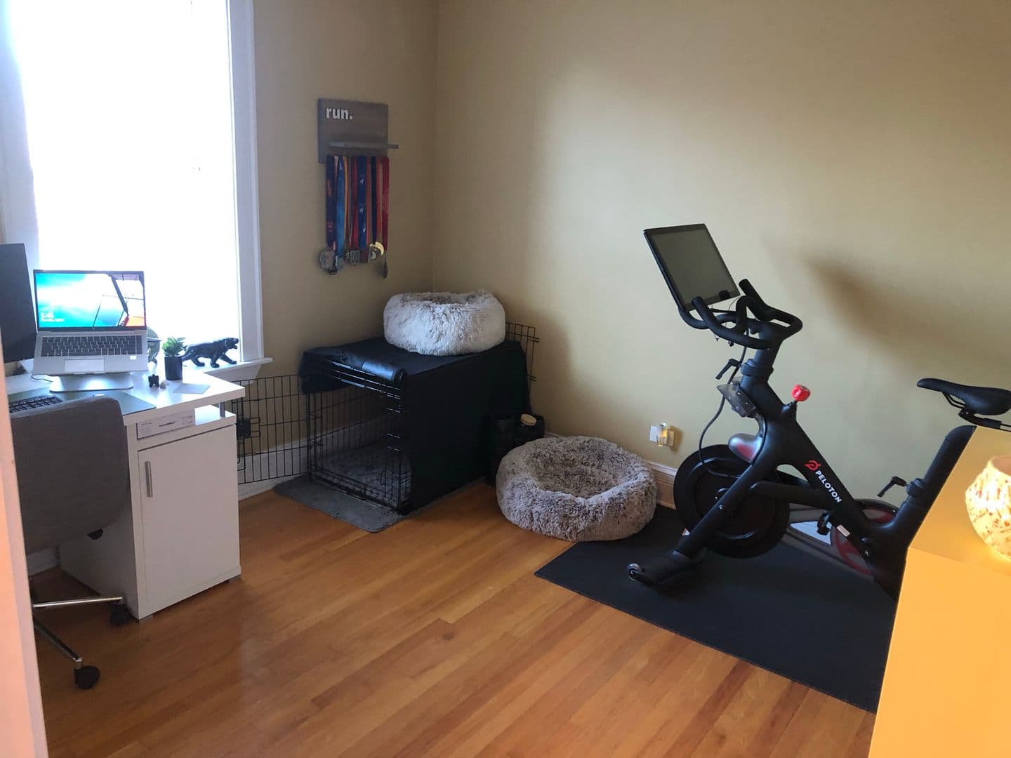 Chicago Apartment: 2050 W. Summerdale Ave