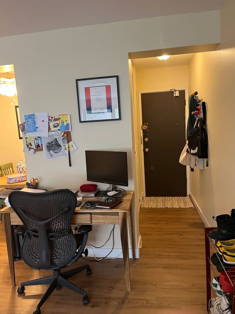 Chicago Apartment: 541 W Briar Pl
