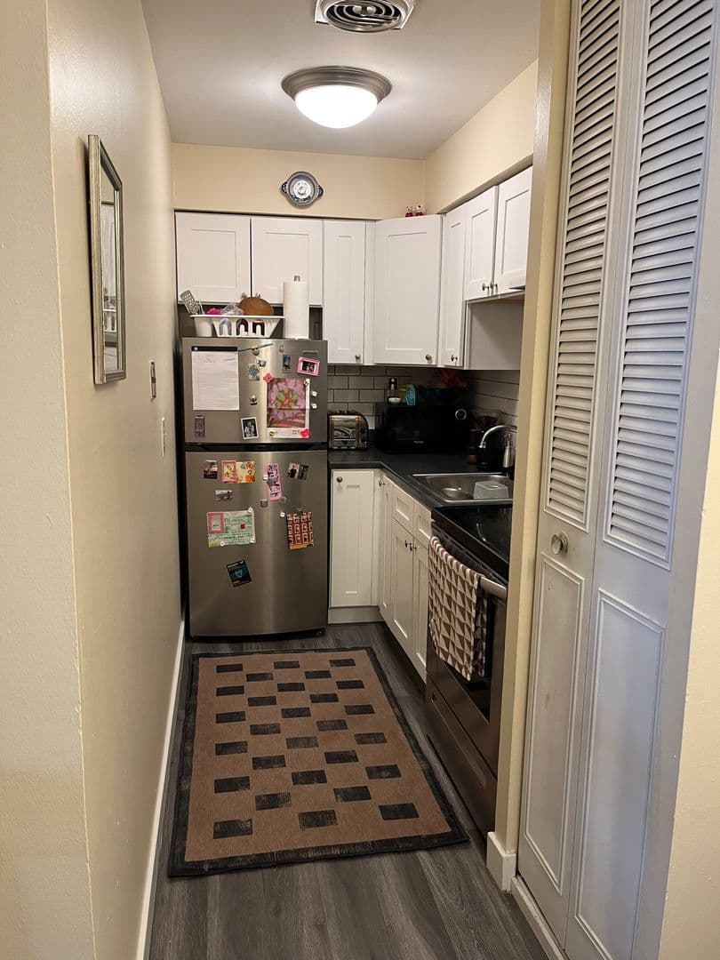 Chicago Apartment: 541 W Briar Pl