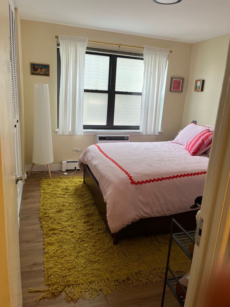 Chicago Apartment: 541 W Briar Pl