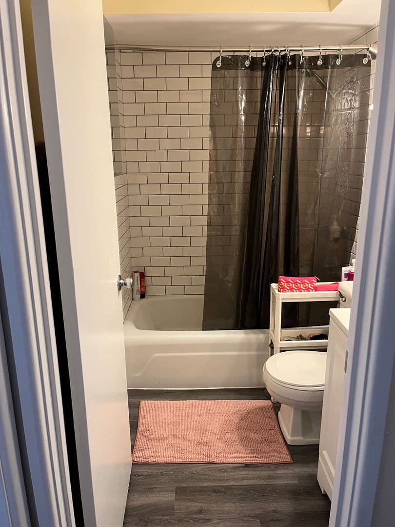 Chicago Apartment: 541 W Briar Pl