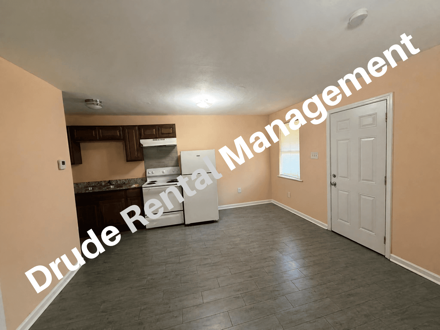 Hammond Apartment: 312 N. Chestnut St.