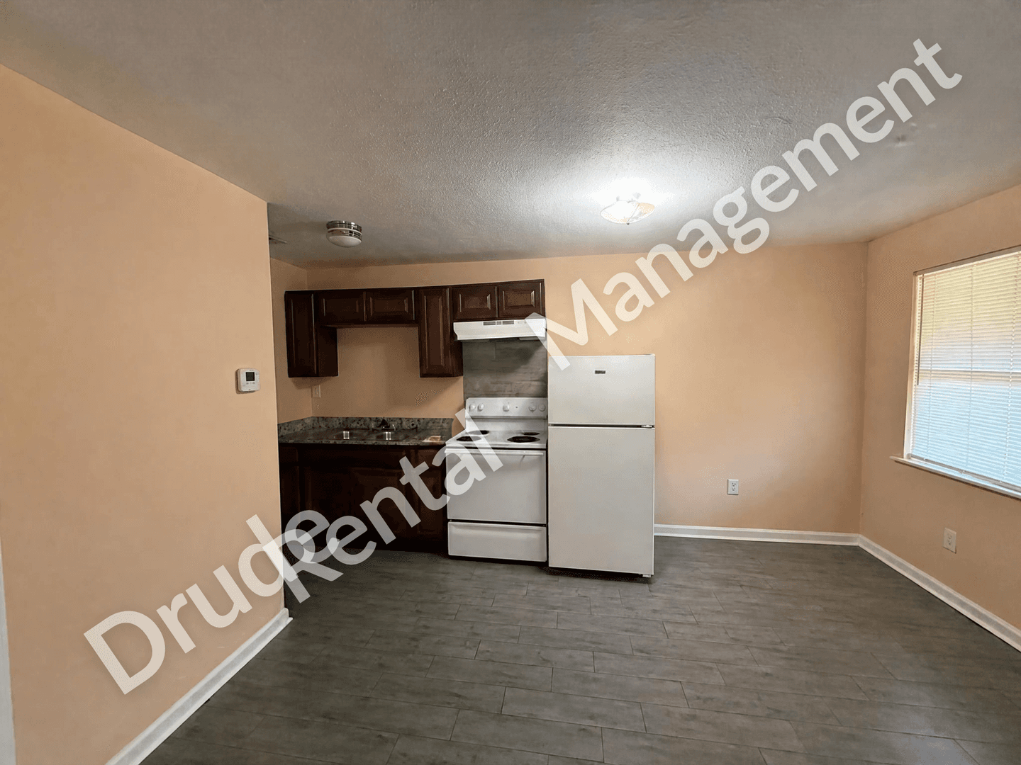 Hammond Apartment: 312 N. Chestnut St.