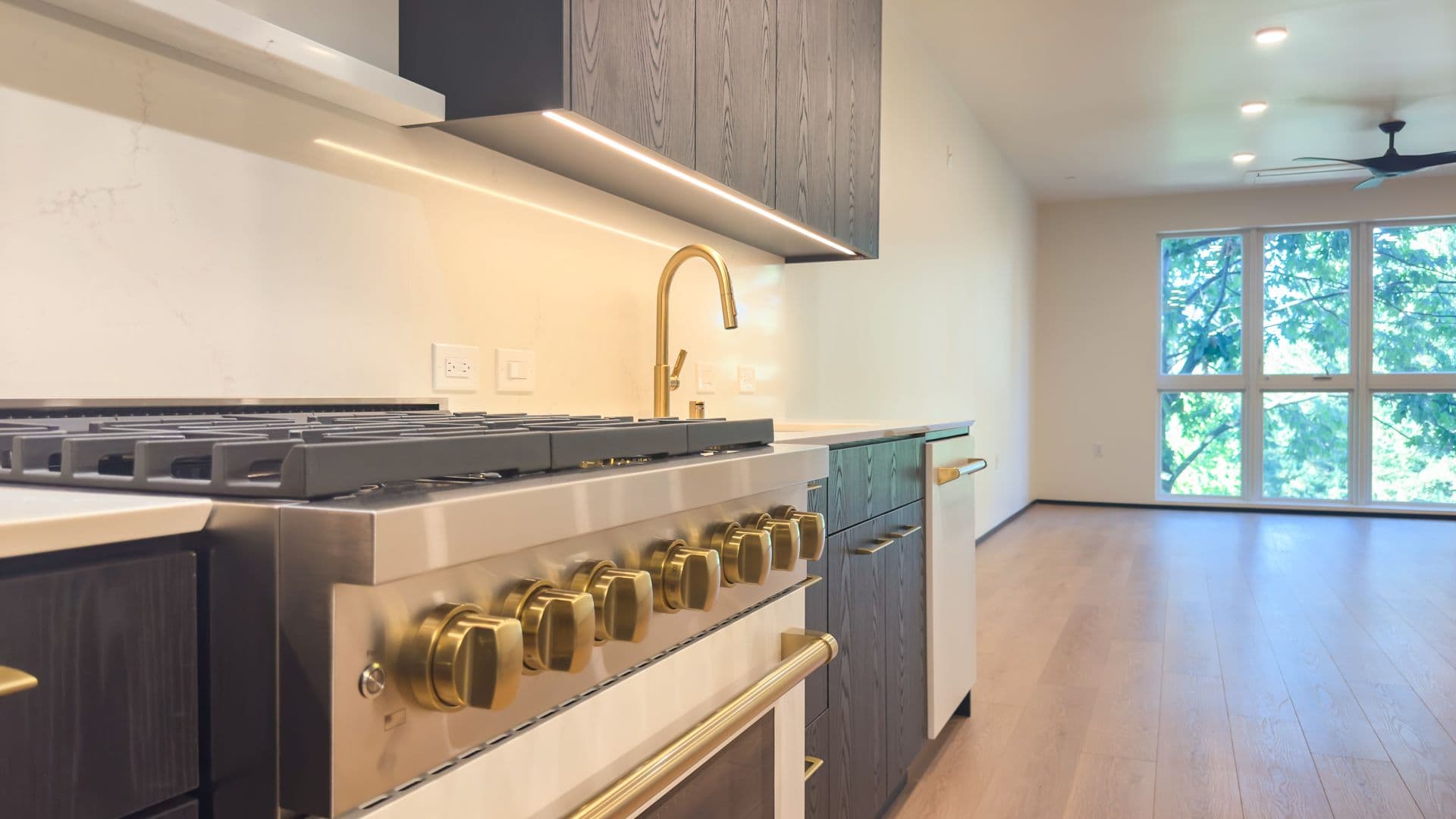 Sacramento Apartment: 1330 N Street