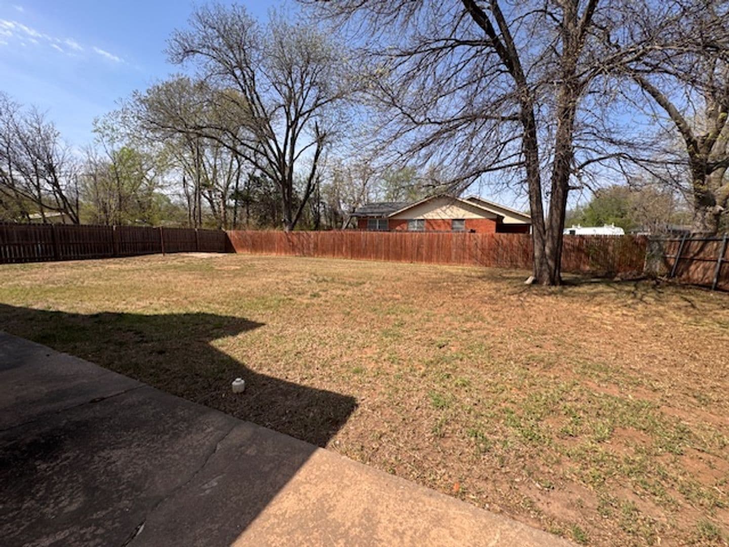 Norman House: 1503 Avondale Dr