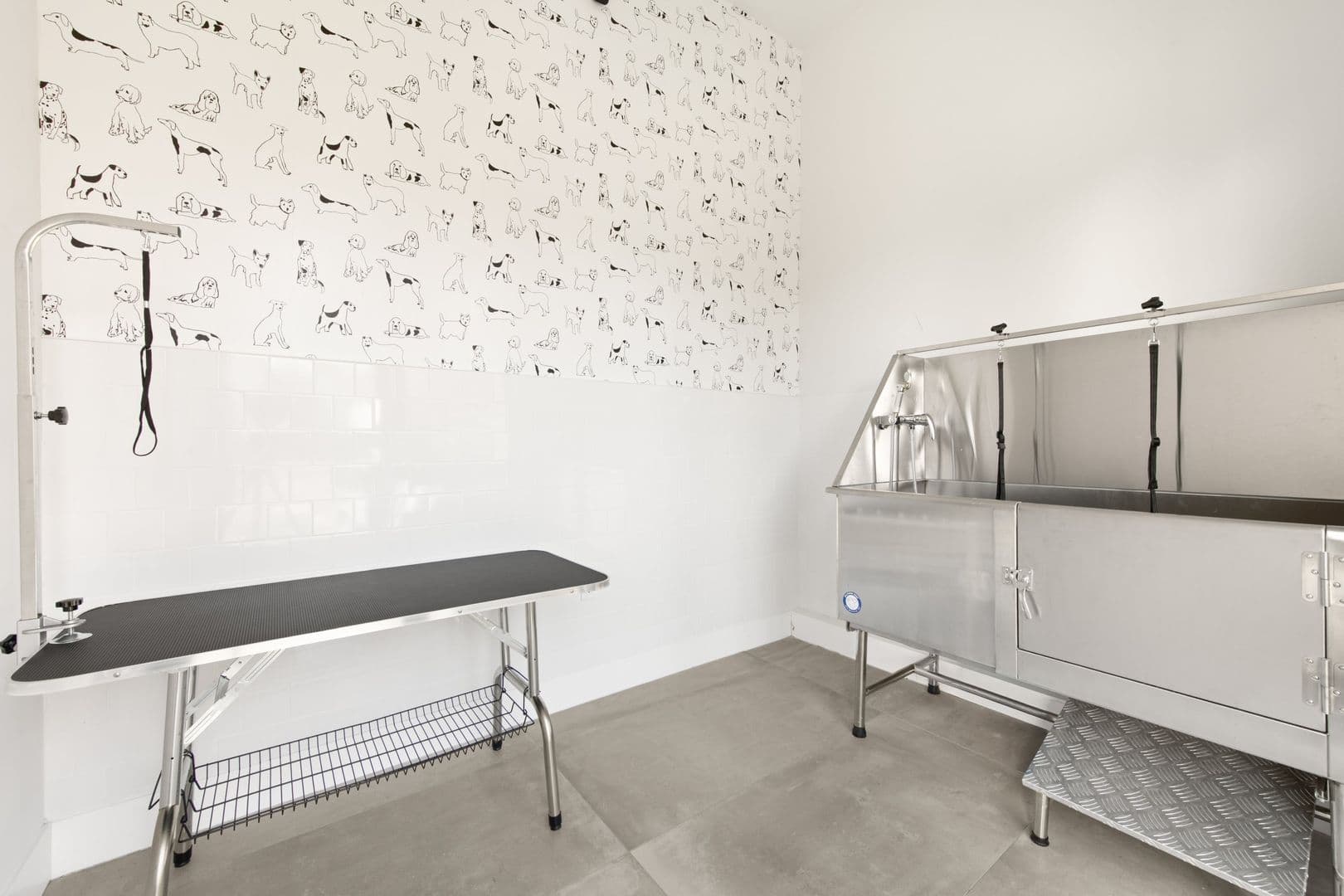 Norwalk Apartment: 41 Wolfpit Ave