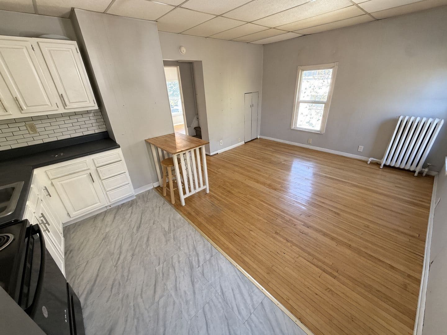 Duluth Apartment: 1215 E 1st St