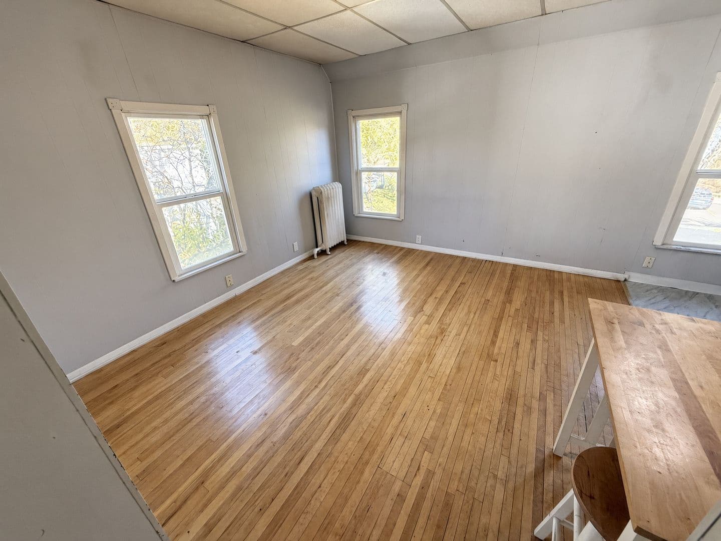 Duluth Apartment: 1215 E 1st St