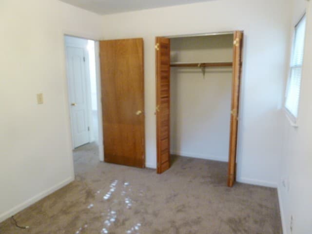 Chapel Hill House: 307 Brooks Street