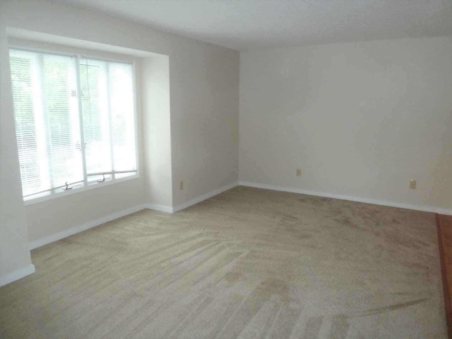 Chapel Hill Condo: 706 Martin Luther King Jr. Blvd. Unit G8