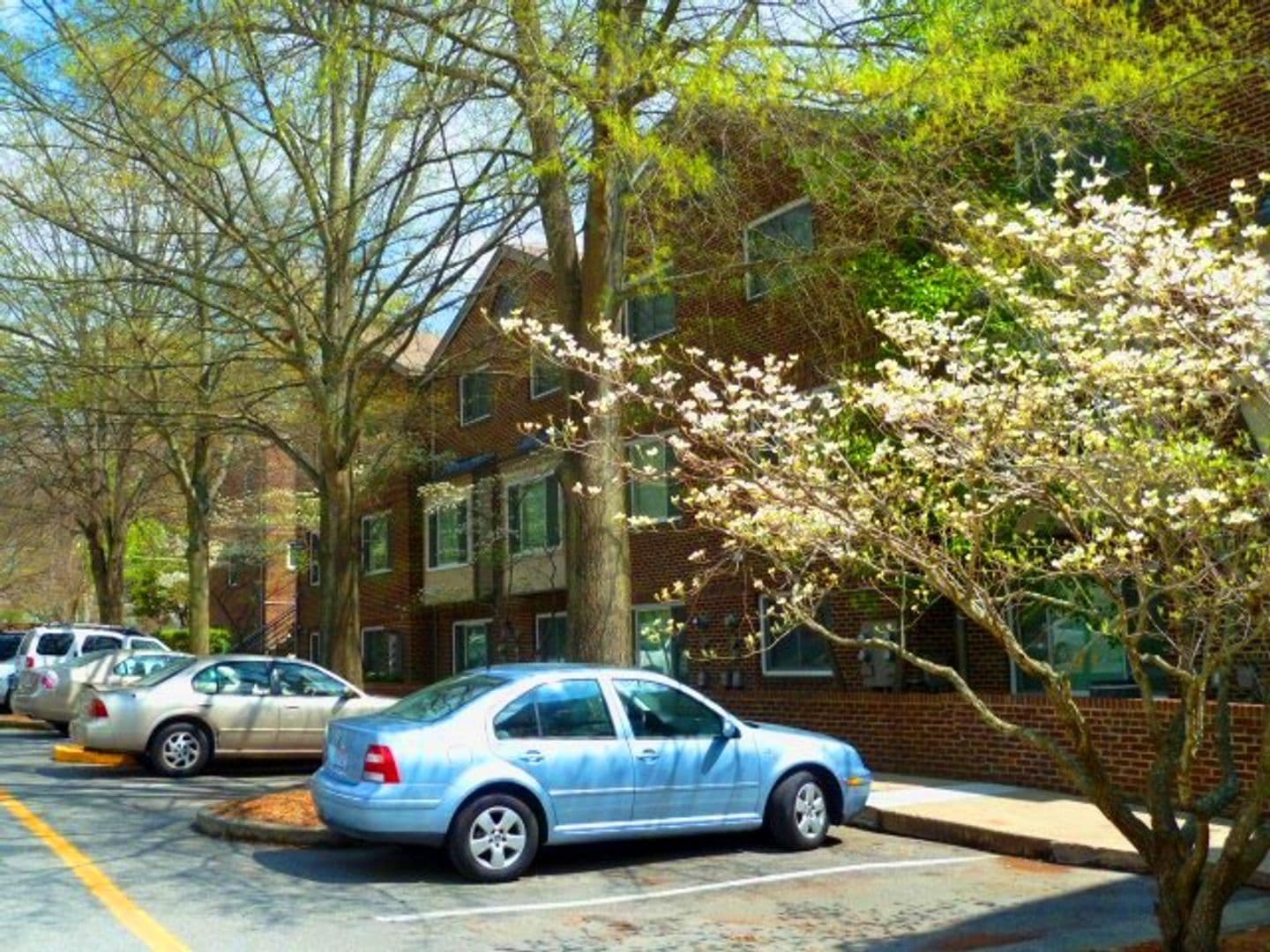 Chapel Hill Condo: 211 Church St.