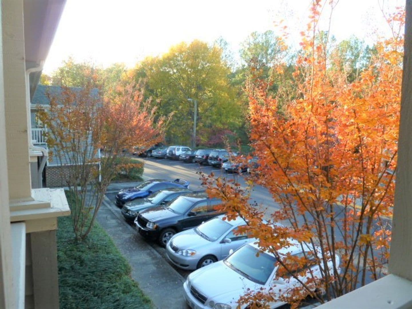 Chapel Hill Condo: 706 Martin Luther King Jr. Blvd. Unit G8