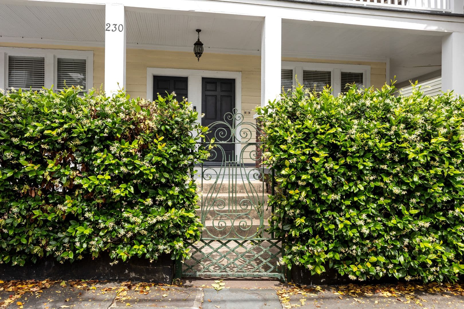 Charleston House: 230 Rutledge Ave