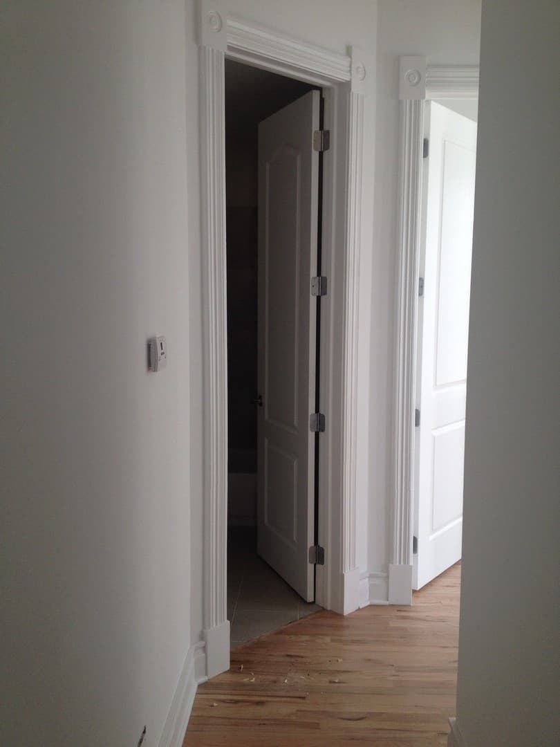 Chicago Apartment: 1659 S Throop